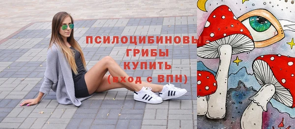 mdpv Белокуриха