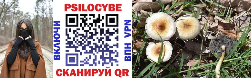 Псилоцибиновые грибы Cubensis  Звенигород 